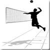 volleybal